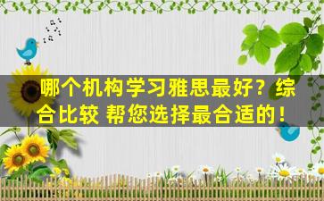 哪个机构学习雅思最好？综合比较 帮您选择最合适的！